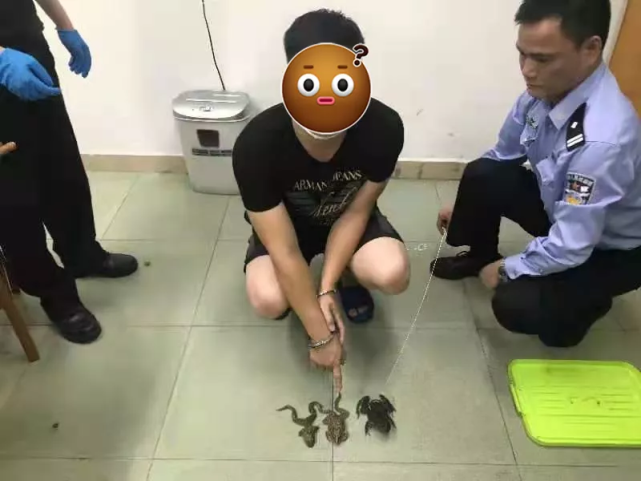 胡某因涉嫌國家重點保護野生動物名錄的蛙類虎紋蛙也是截至目前唯一被