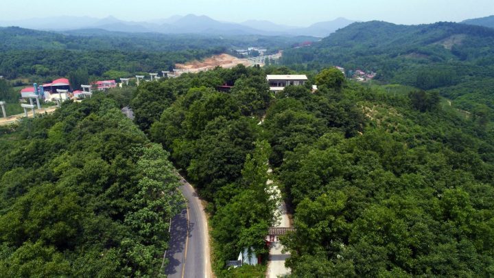5月10日,确山县任店镇天目山景区,这里风景秀美,空气清新,景色怡人,是