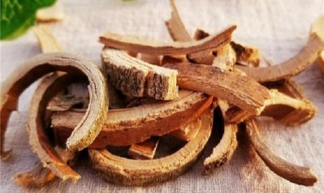 走近中药认识一下秦皮这个名字和道地药材无关