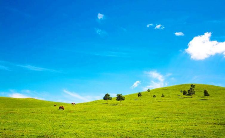 看够了城市的喧嚣来张家口看草原风光
