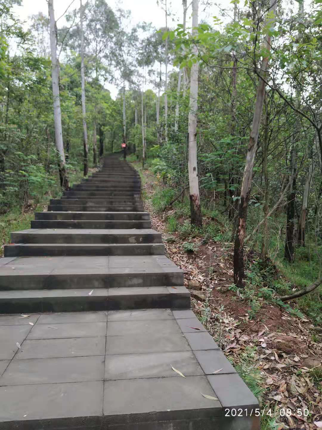 成都龙泉钟家山森林公园健身步道