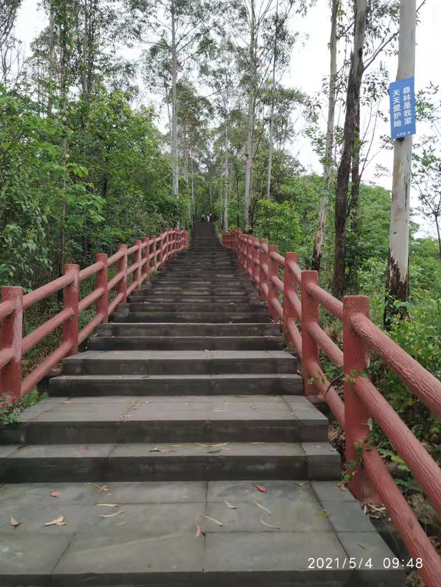 成都龙泉钟家山森林公园健身步道