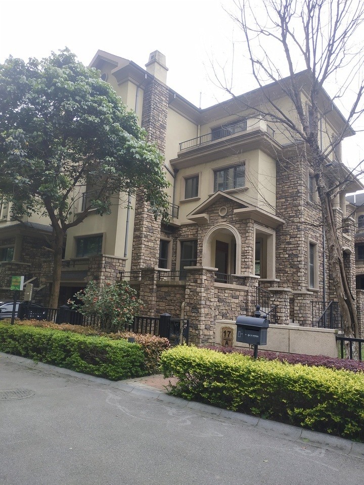 桂林市新行政文化中心黄金地段一栋豪华别墅拍出两百多万高价