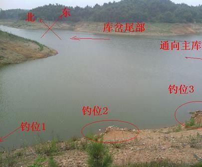 钓位的选择:下面一一说明:溜鱼的方法钓法与技巧诱饵的运用钓饵的选择