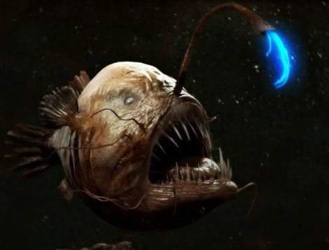 深海怪鱼现身美国沙滩,浑身密集瘤子,深黑大口似异形