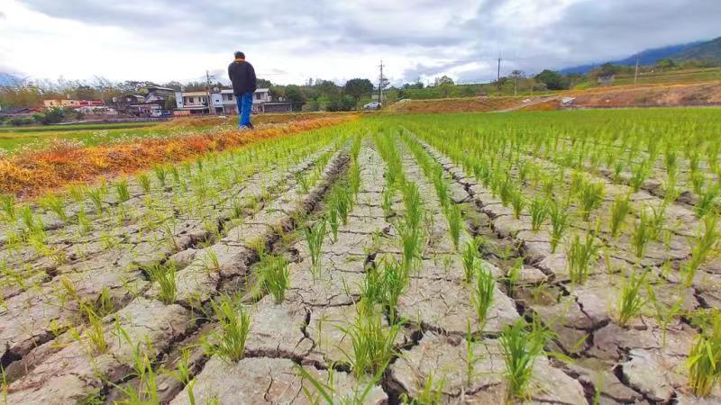 台湾56年最严重旱情降水绕着台湾走日月潭变草原台积电缺水危及全球