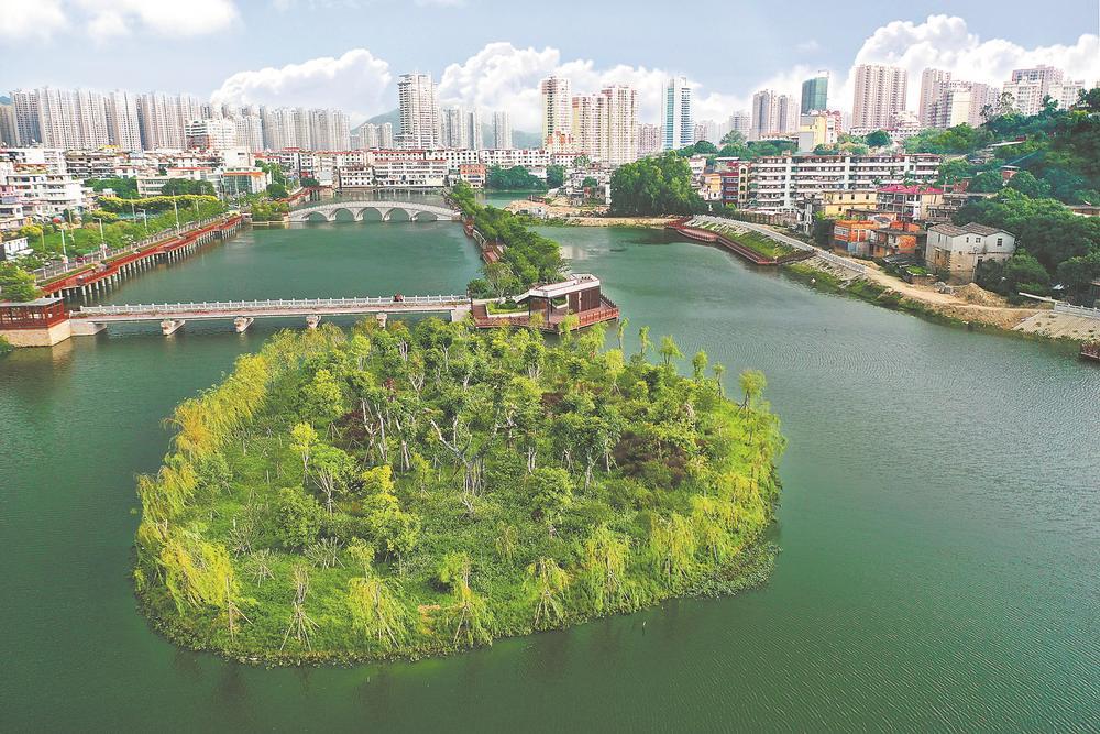 10日,位于南安市中心城区的柳湖公园水光潋滟,草木葱茏.