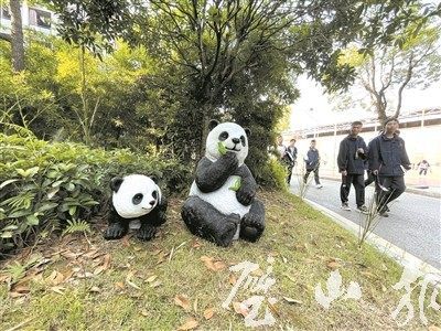 5月10日,璧山中学双星校区内,小松鼠,大熊猫,树袋熊等雕塑成为校园里