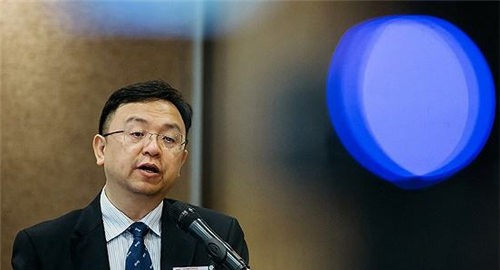 父母|嫂子|王传福|王传方