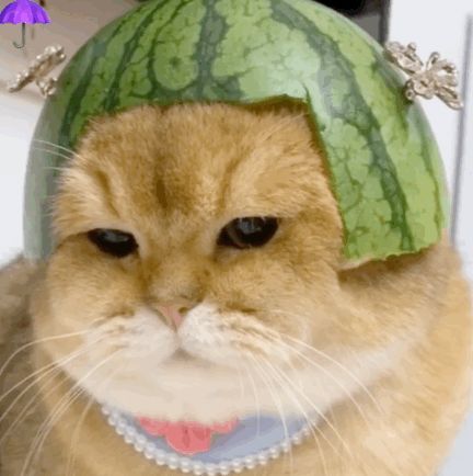 好热哦,游个泳给大家看看~快给我切开,我要吃大西瓜!