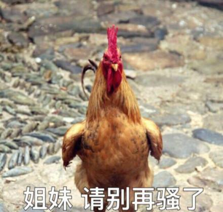 不说鸡,广东人可以坚持到第几句话?