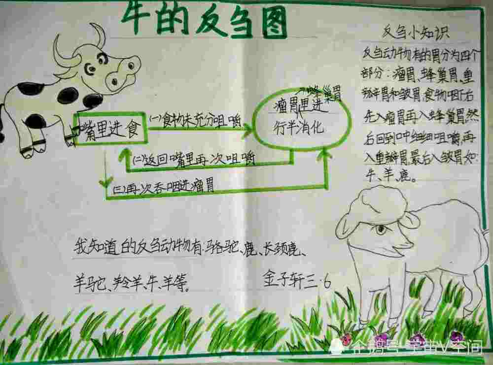 为什么要在牛身上开个洞,牛不疼吗,这是否有虐待动物的行为?_腾讯新闻