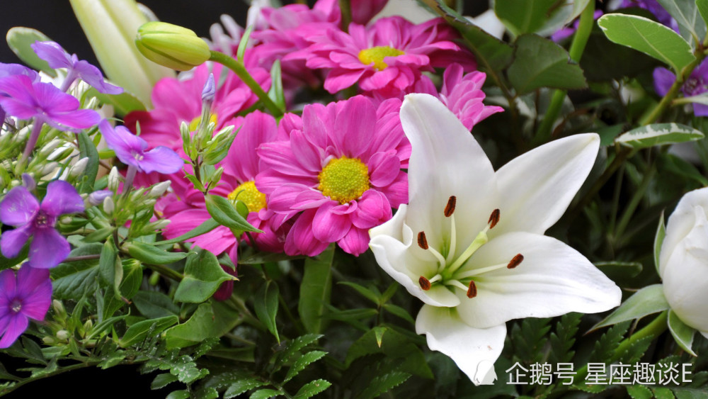 5月13日星座运势 白羊公私分明 狮子刮目相看 双鱼充满斗志 腾讯新闻