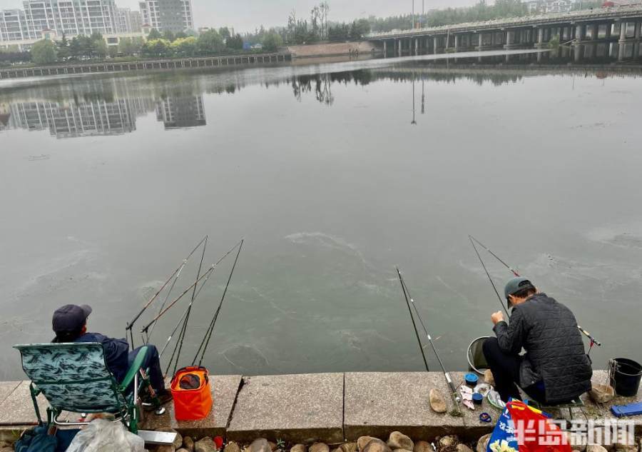 白沙河畔细雨蒙蒙雨中垂钓其乐融融