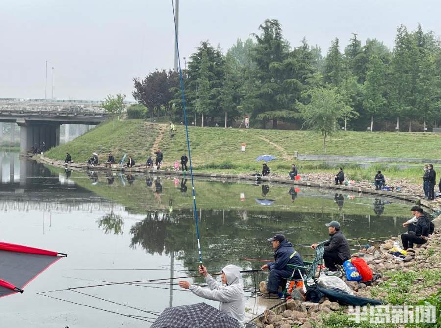 白沙河畔细雨蒙蒙雨中垂钓其乐融融