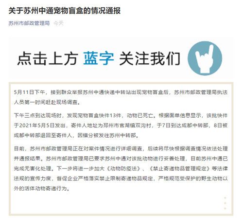 苏州通报中通宠物盲盒事件:13件快递因错分被发往苏州,盲盒内动物已