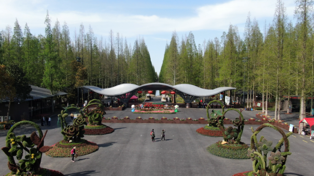 崇明花博赏花正当时花博南园姹紫嫣红花色纷呈