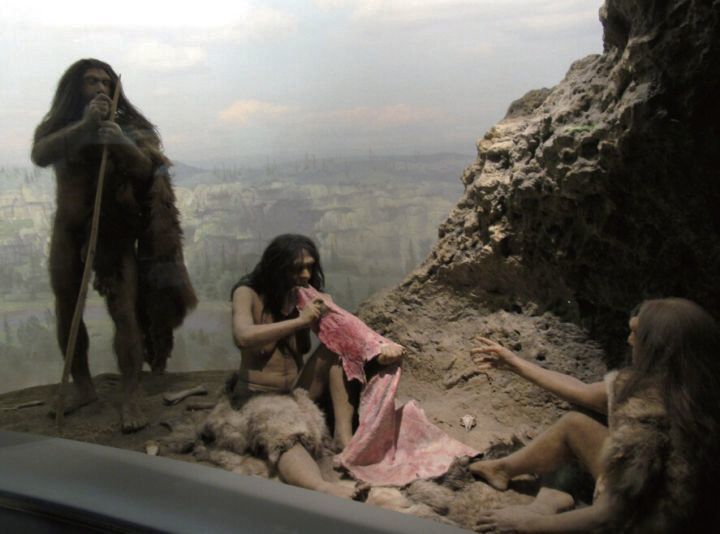 时代,又分为早期智人和晚期智人,其中著名的尼安德特人和我国的丁村人