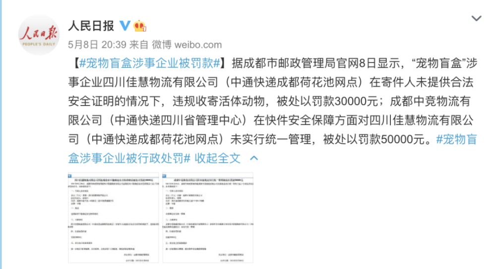 数十只猫狗尸体已发臭，又有“宠物盲盒”曝光！最新通报……