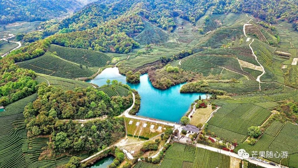 這次我主要去了中部光明寺水庫,西山森林公園一帶,體力不好公園也只爬