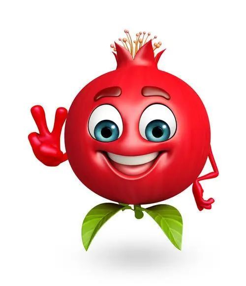 动植物检疫关于进口乌兹别克斯坦石榴植物检疫要求的公告解读