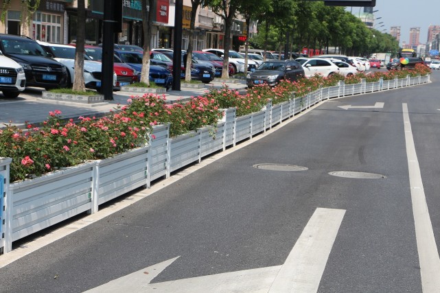 海宁南苑路道路花箱处处可见花最美的风景都在路上 腾讯新闻