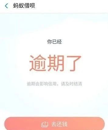 2021年支付宝逾期图片图片