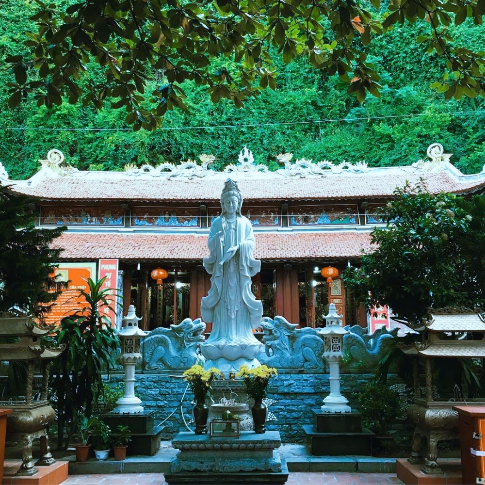越南龙仙寺中存在很多汉字 本地人却不认识 腾讯新闻