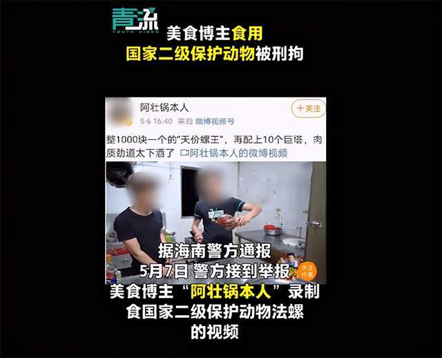 美食博主吃国家二级保护动物被刑拘不要放过贩卖链