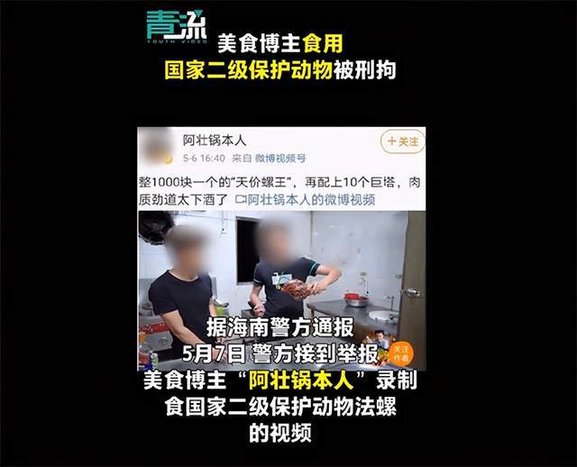 美食博主吃國家二級保護動物被刑拘:不要放過販賣鏈