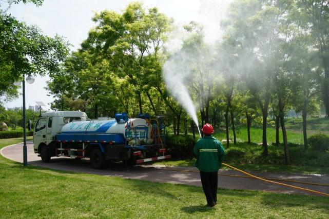 多種辦法防治病蟲害,壽光園林建設集團提升城市綠化品質