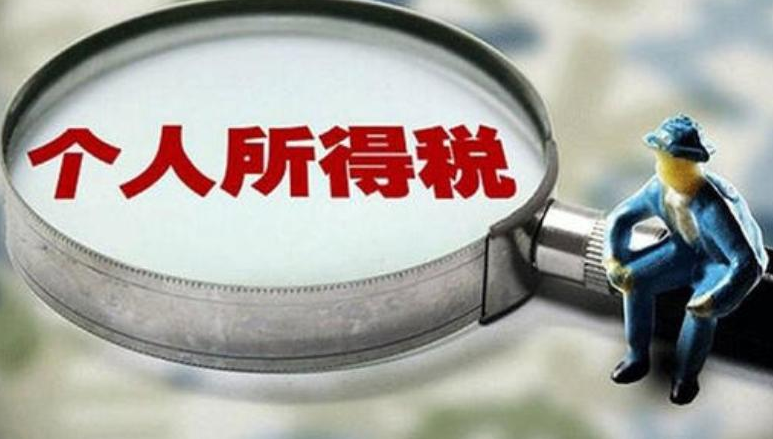 纳税人口是多少_南非仅有2.6%的人口缴纳个人所得税(2)