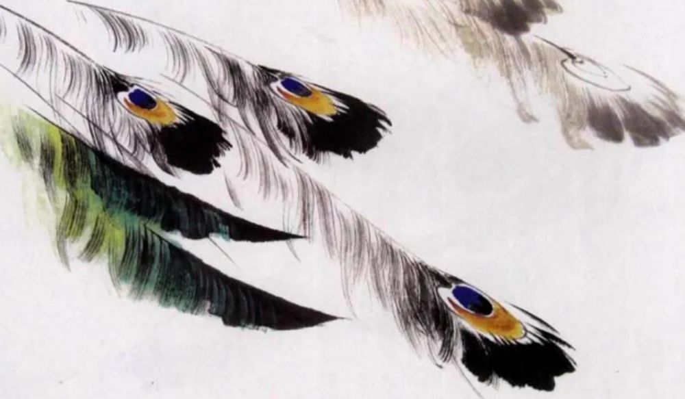 蓝孔雀 绿孔雀 白孔雀头部的画 腾讯新闻