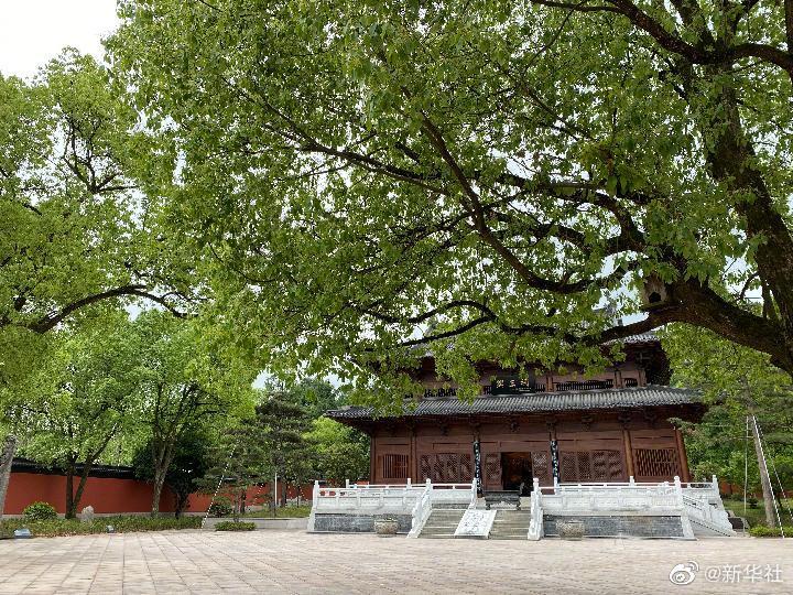 浙江钱镠墓被盗已抓获犯罪嫌疑人39名