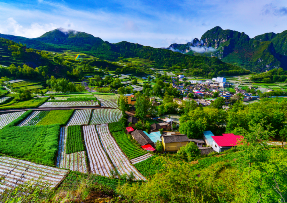 五无甘南绿色崛起丨舟曲让绿水青山更有颜值