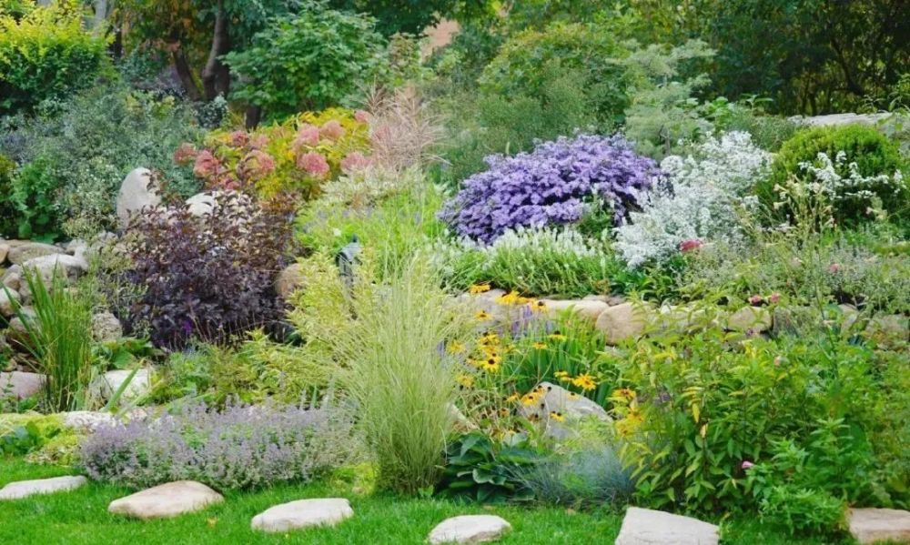 面积小也能做花园学会这些技能花园视觉感瞬间提升