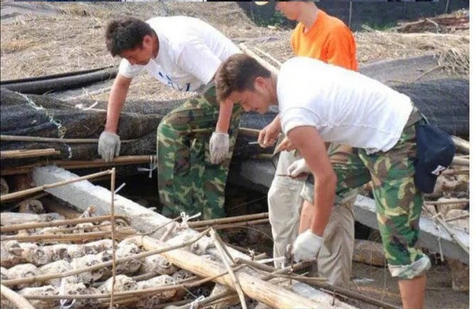 吳京汶川地震救災照曝光扛箱搭篷出死力四鬢間被曬得流油淌汗