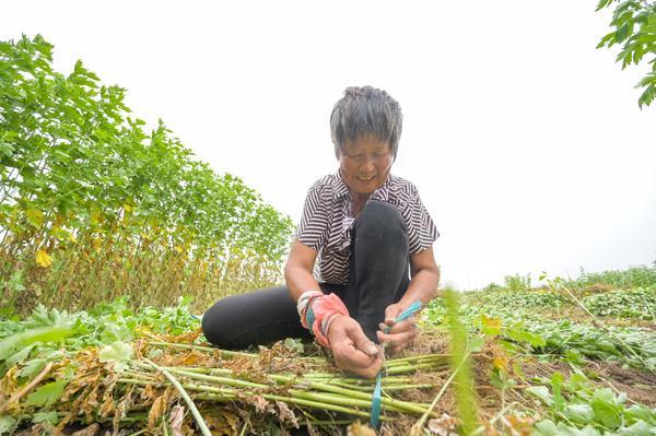 艾柱品牌排行_2017中国市场避孕套十大品牌排行榜(2)