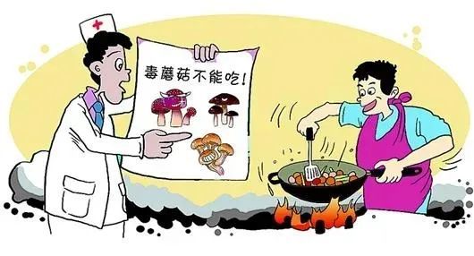 食品安全如何预防野生蘑菇中毒