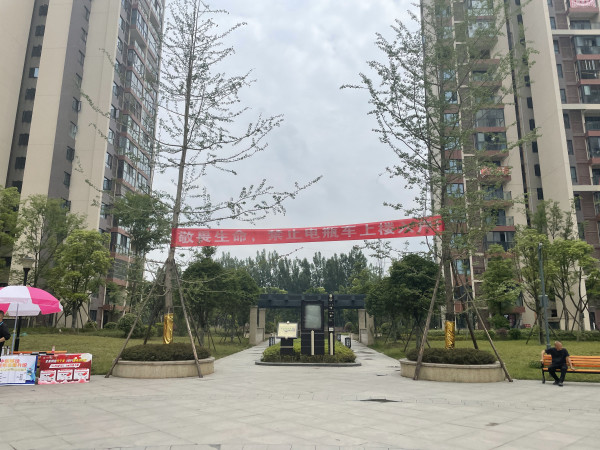 5月12日13:30,记者走进了事发的成都市成华区丛树家园小区9栋1单元