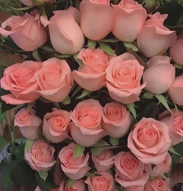 朋友圈背景图622