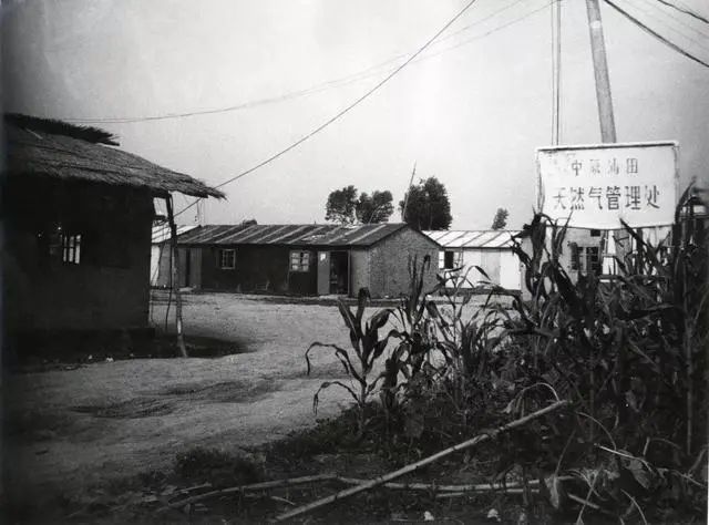 打开尘封多年的中原油田珍贵老照片