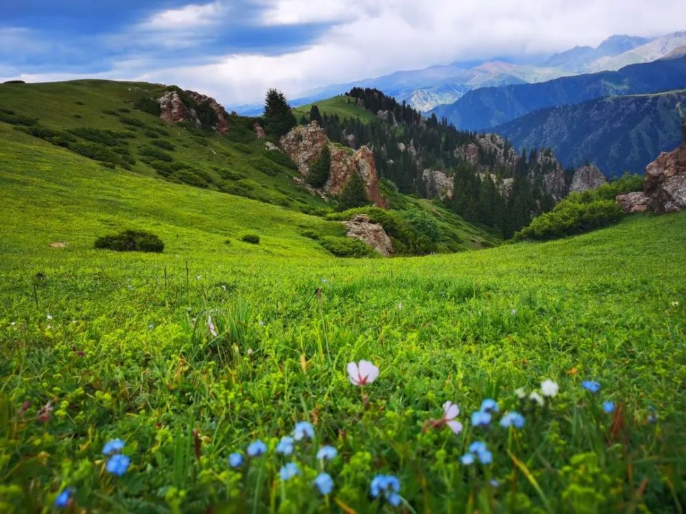 秘境特克斯塞克草原美到窒息