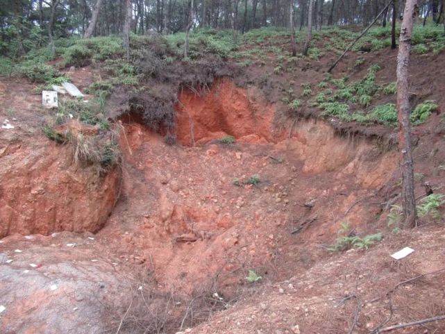 赵先生是荔浦市双江镇两江村村民.