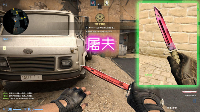 csgo技术可菜刀可钝但搭配的皮肤咱不能输闪哭敌人