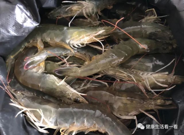 虾仁怎么做好吃（虾仁怎么做好吃家常菜）