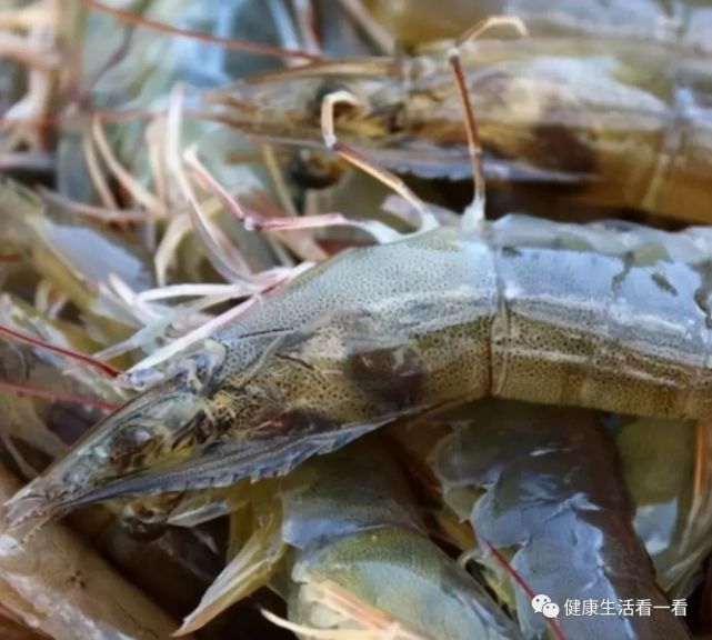 虾仁怎么做好吃（虾仁怎么做好吃家常菜）