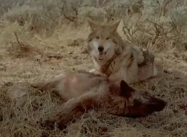 ģɽջսɽ_ģɽɽ_ɽ