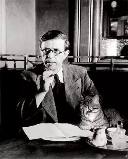 盘点猫奴作家：那些热爱猫咪的文人们啊……