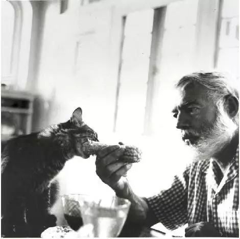 盘点猫奴作家：那些热爱猫咪的文人们啊……